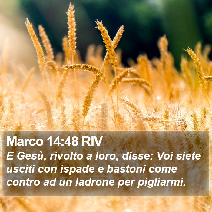 Marco 14:48 RIV Bible Study