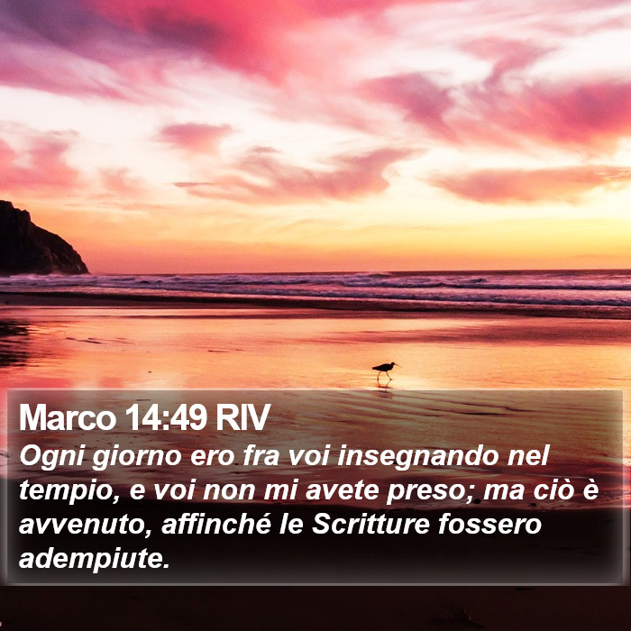 Marco 14:49 RIV Bible Study