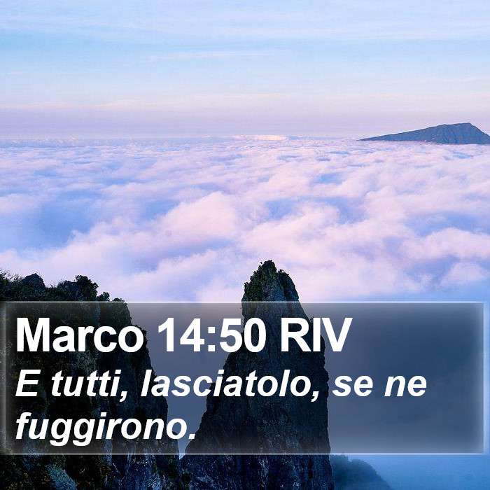 Marco 14:50 RIV Bible Study