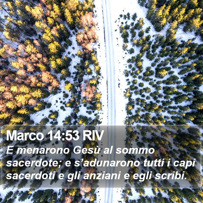 Marco 14:53 RIV Bible Study