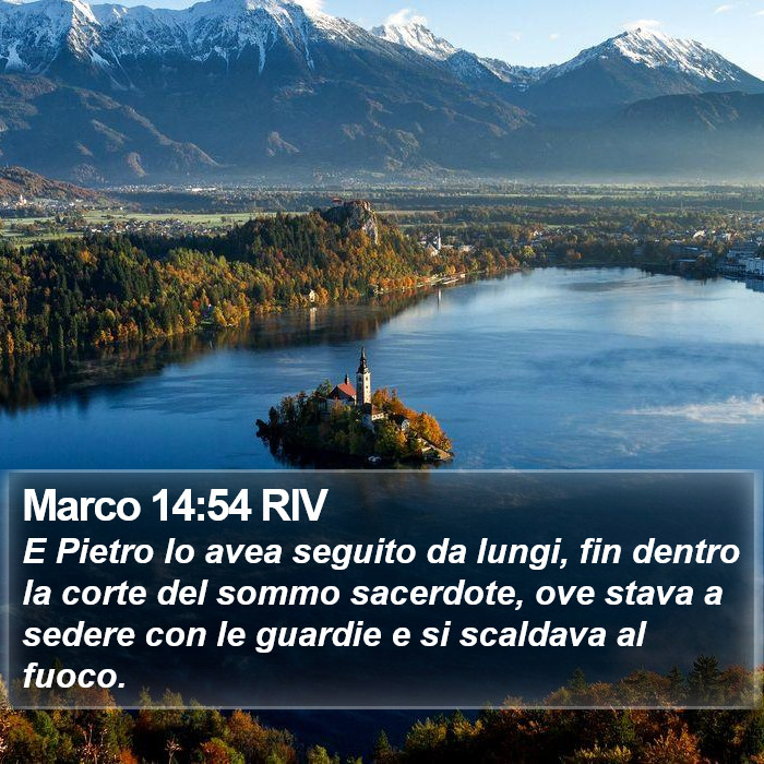 Marco 14:54 RIV Bible Study