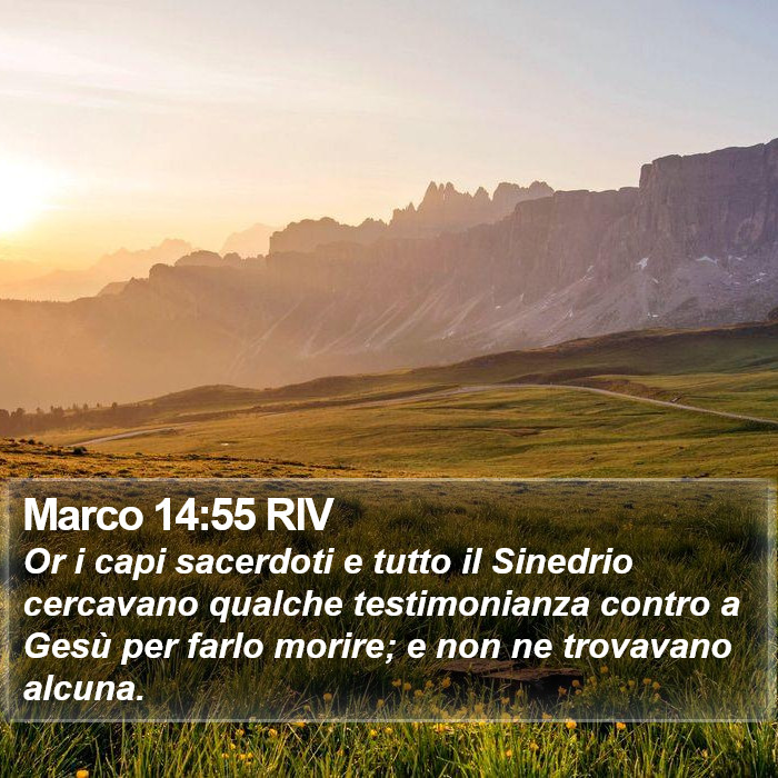 Marco 14:55 RIV Bible Study