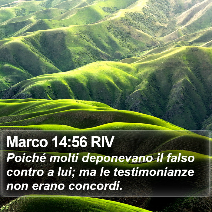 Marco 14:56 RIV Bible Study