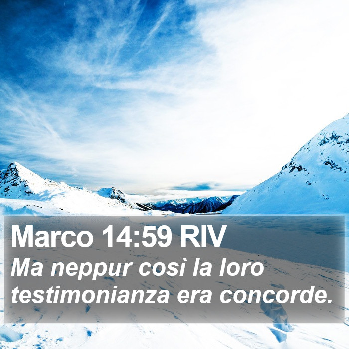 Marco 14:59 RIV Bible Study