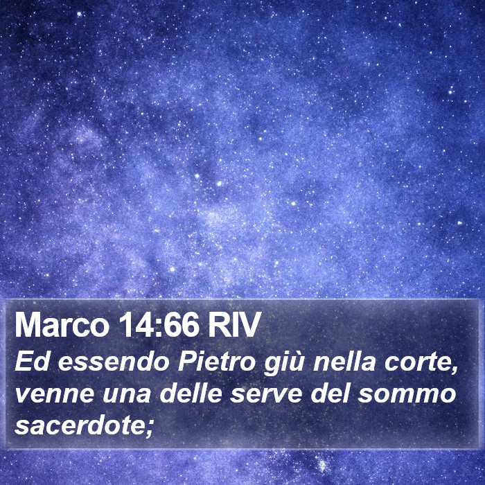 Marco 14:66 RIV Bible Study