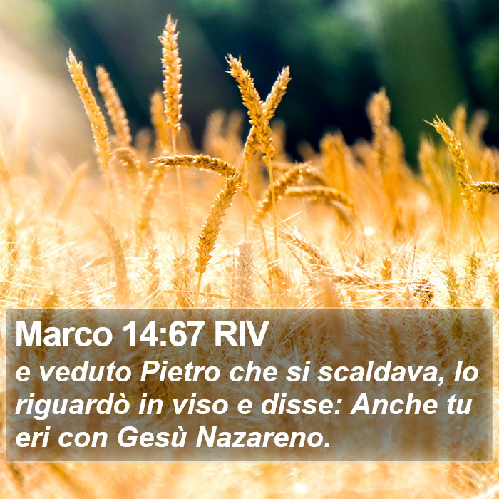 Marco 14:67 RIV Bible Study