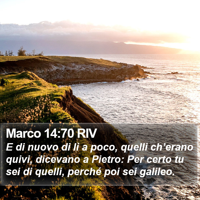 Marco 14:70 RIV Bible Study