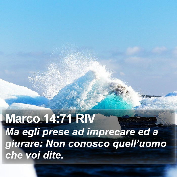 Marco 14:71 RIV Bible Study