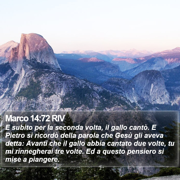 Marco 14:72 RIV Bible Study