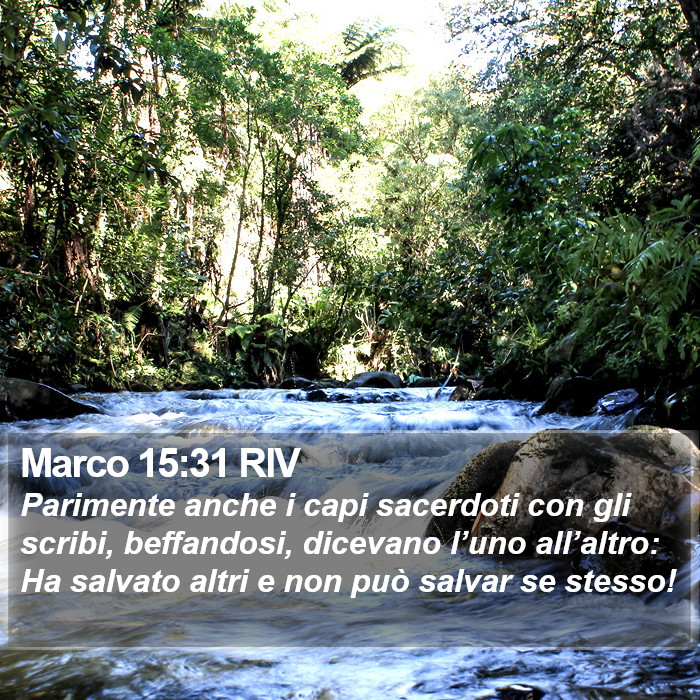 Marco 15:31 RIV Bible Study