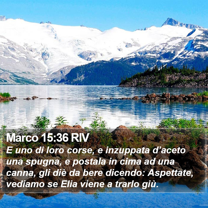 Marco 15:36 RIV Bible Study