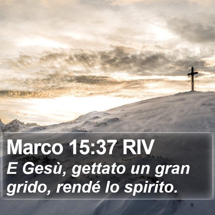 Marco 15:37 RIV Bible Study