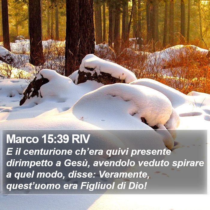 Marco 15:39 RIV Bible Study