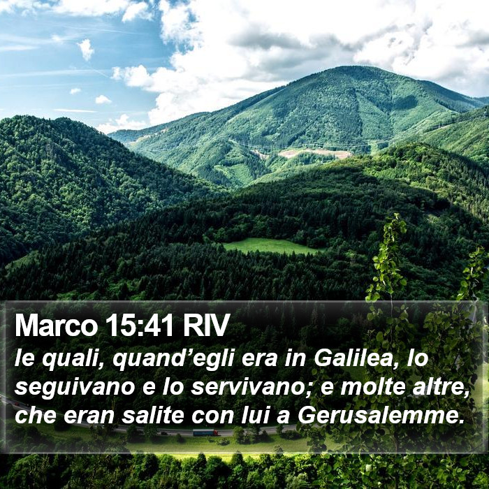 Marco 15:41 RIV Bible Study