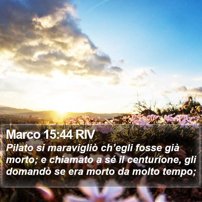 Marco 15:44 RIV Bible Study