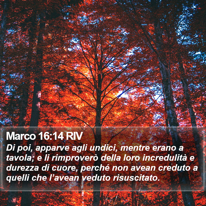 Marco 16:14 RIV Bible Study