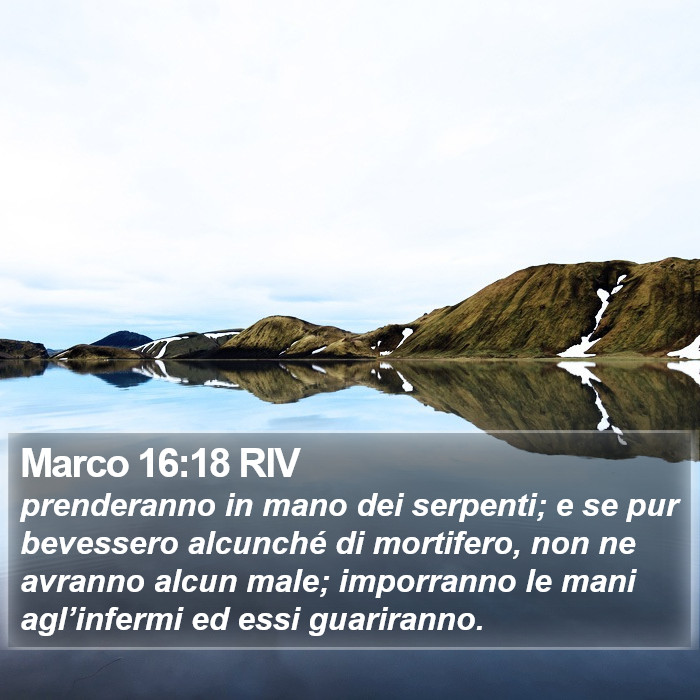 Marco 16:18 RIV Bible Study