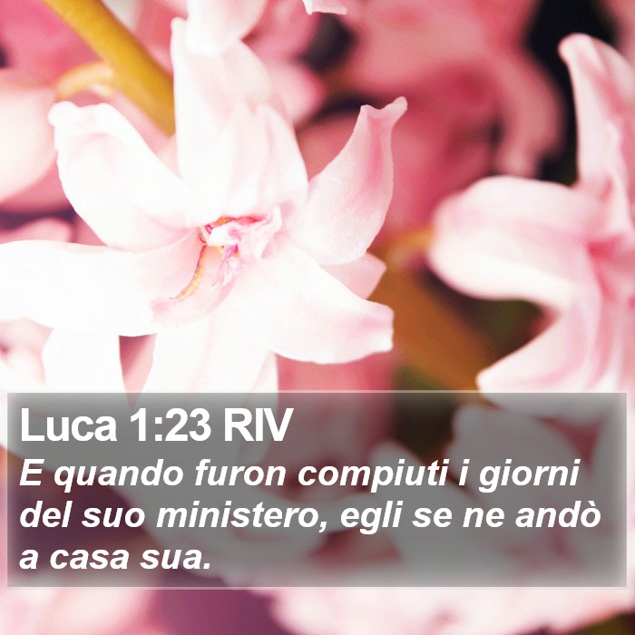 Luca 1:23 RIV Bible Study