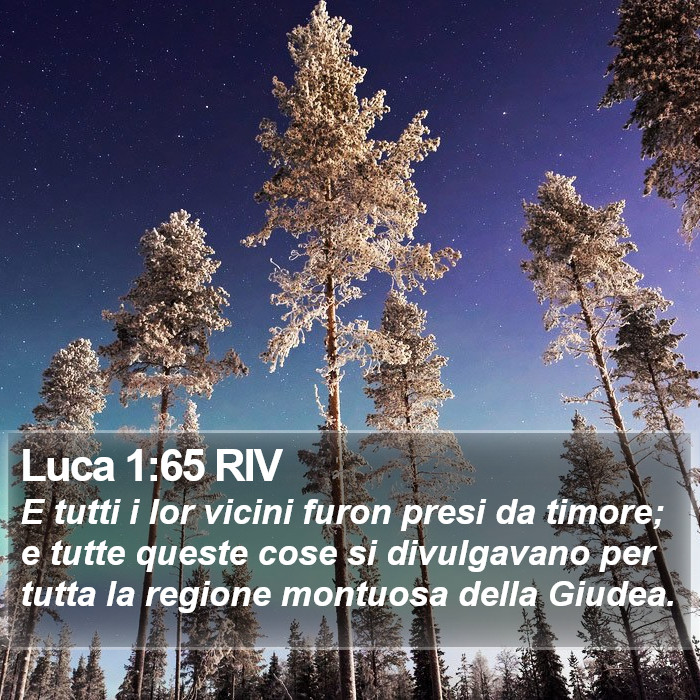 Luca 1:65 RIV Bible Study