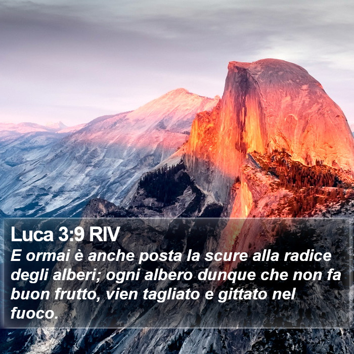 Luca 3:9 RIV Bible Study