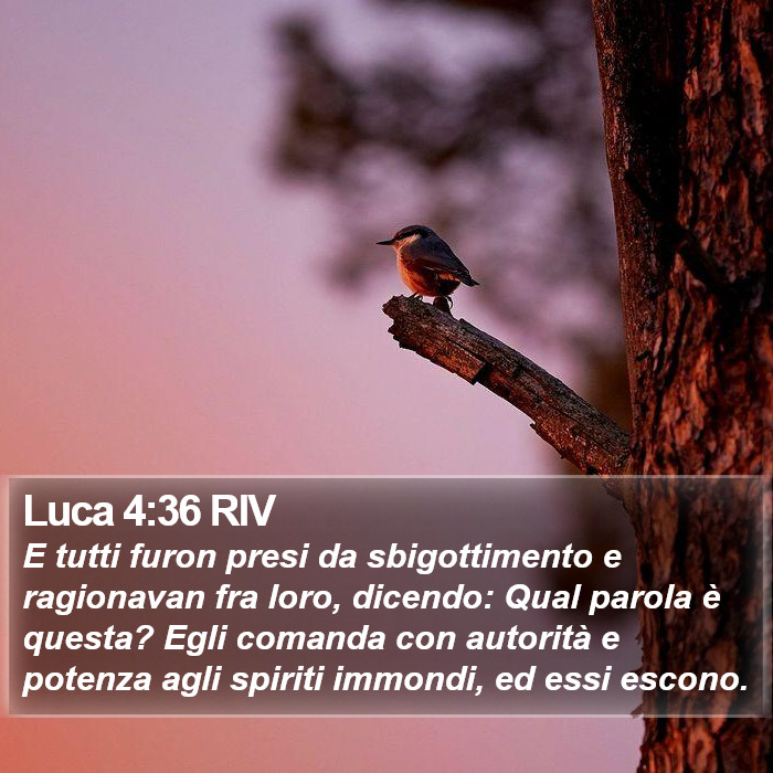 Luca 4:36 RIV Bible Study