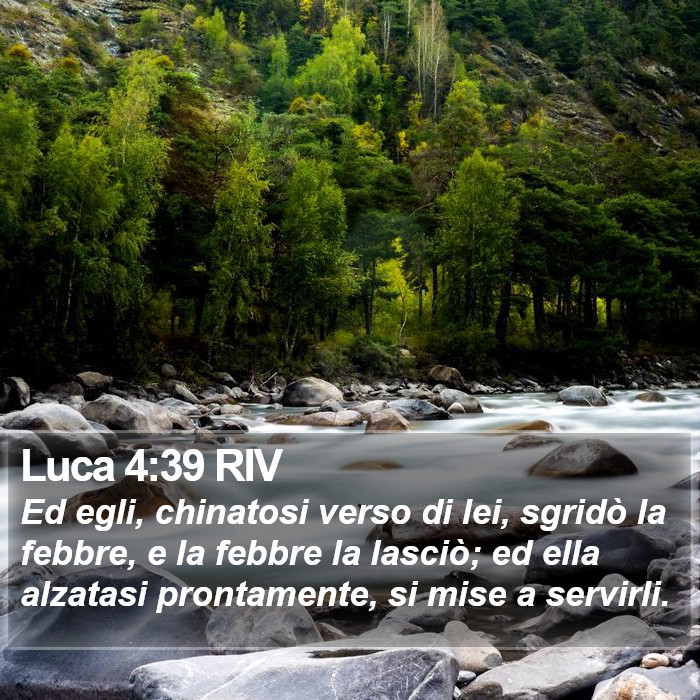 Luca 4:39 RIV Bible Study