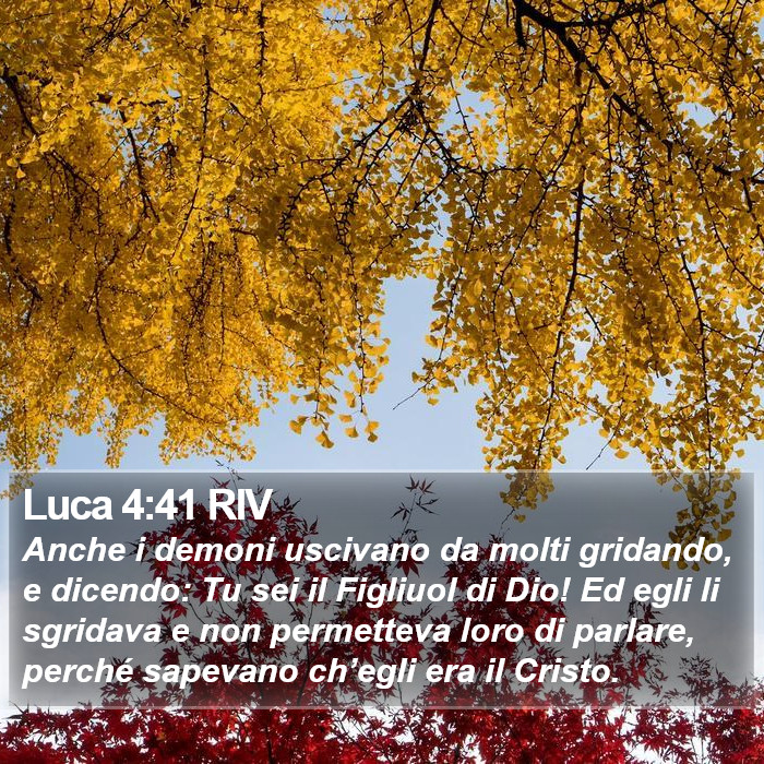 Luca 4:41 RIV Bible Study