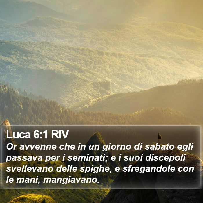 Luca 6:1 RIV Bible Study