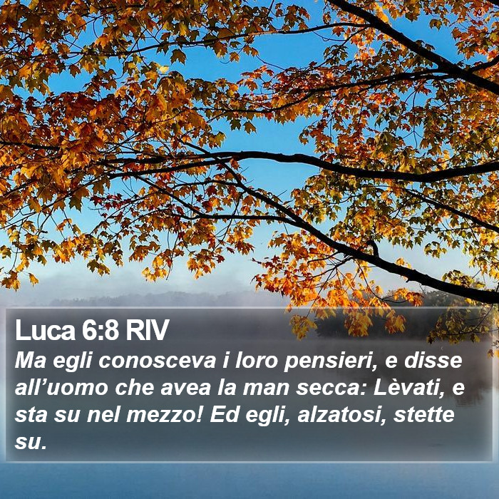 Luca 6:8 RIV Bible Study