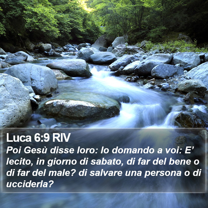 Luca 6:9 RIV Bible Study