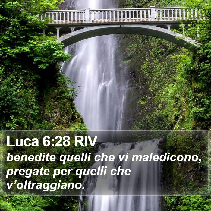 Luca 6:28 RIV Bible Study