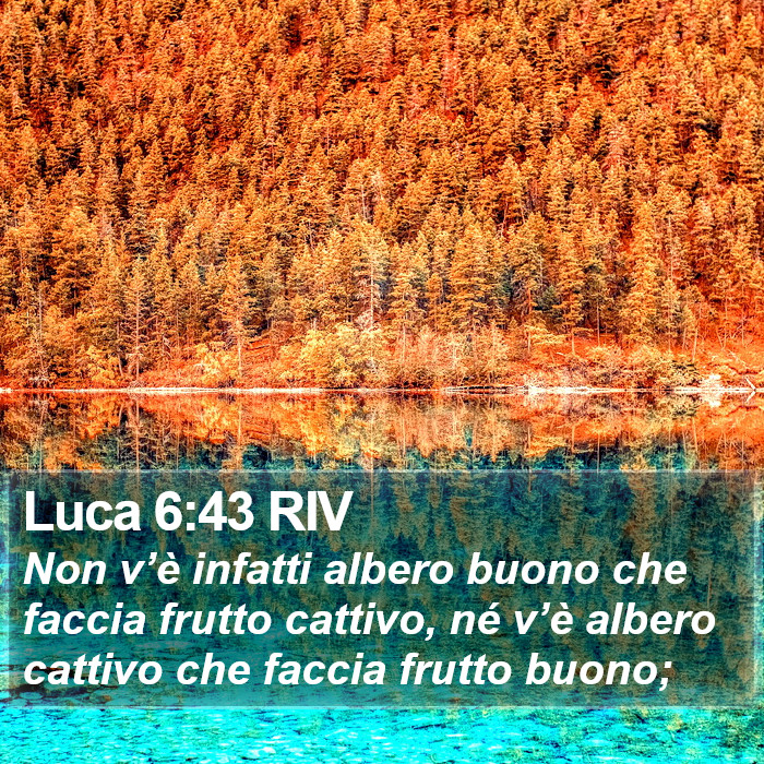 Luca 6:43 RIV Bible Study