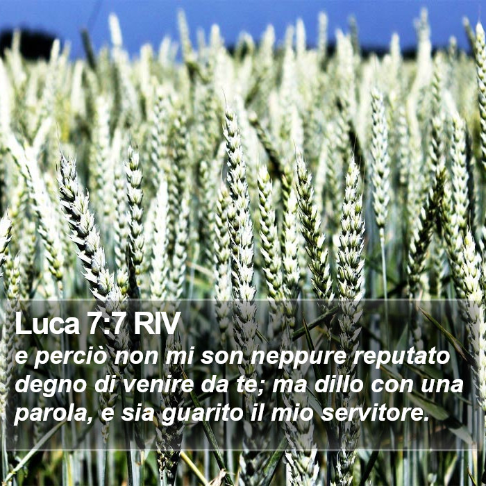 Luca 7:7 RIV Bible Study