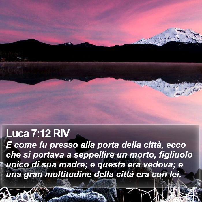 Luca 7:12 RIV Bible Study