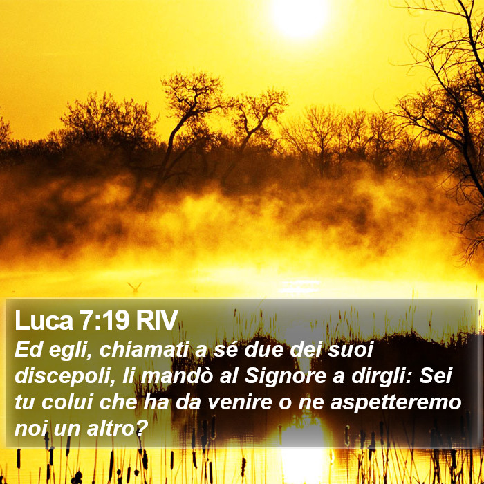 Luca 7:19 RIV Bible Study