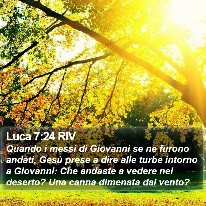 Luca 7:24 RIV Bible Study