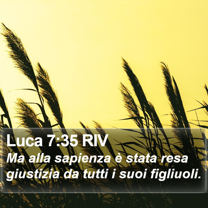 Luca 7:35 RIV Bible Study