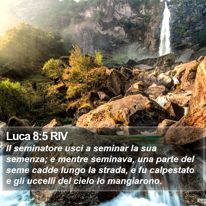 Luca 8:5 RIV Bible Study