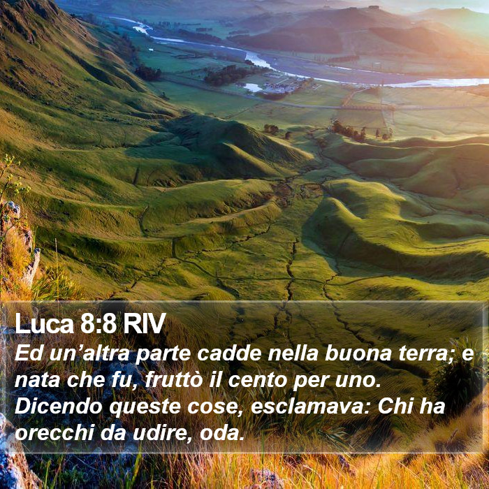 Luca 8:8 RIV Bible Study