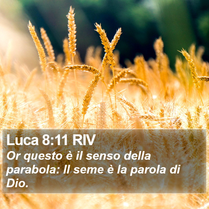 Luca 8:11 RIV Bible Study