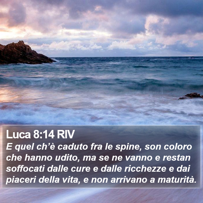 Luca 8:14 RIV Bible Study