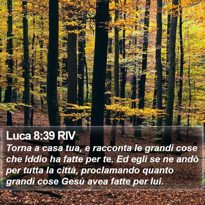 Luca 8:39 RIV Bible Study