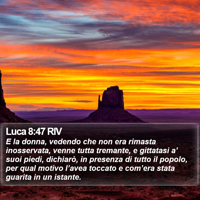 Luca 8:47 RIV Bible Study