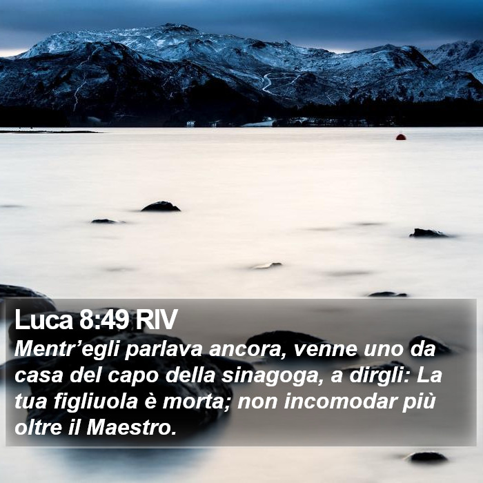 Luca 8:49 RIV Bible Study