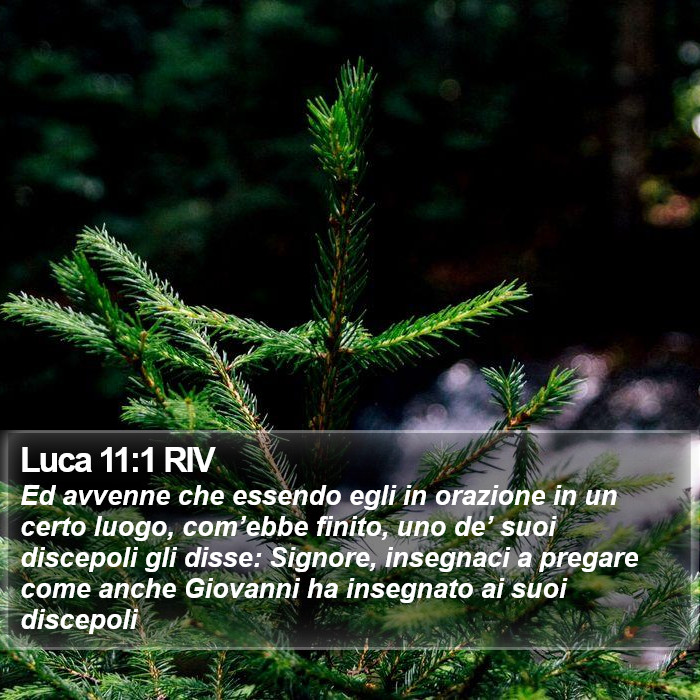 Luca 11:1 RIV Bible Study
