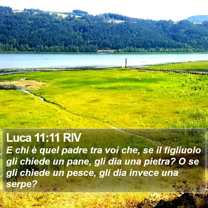 Luca 11:11 RIV Bible Study