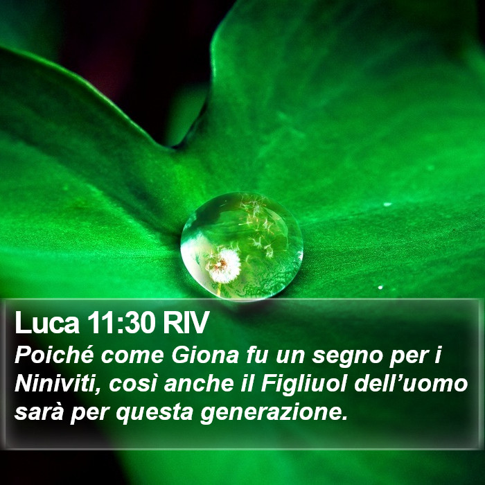 Luca 11:30 RIV Bible Study