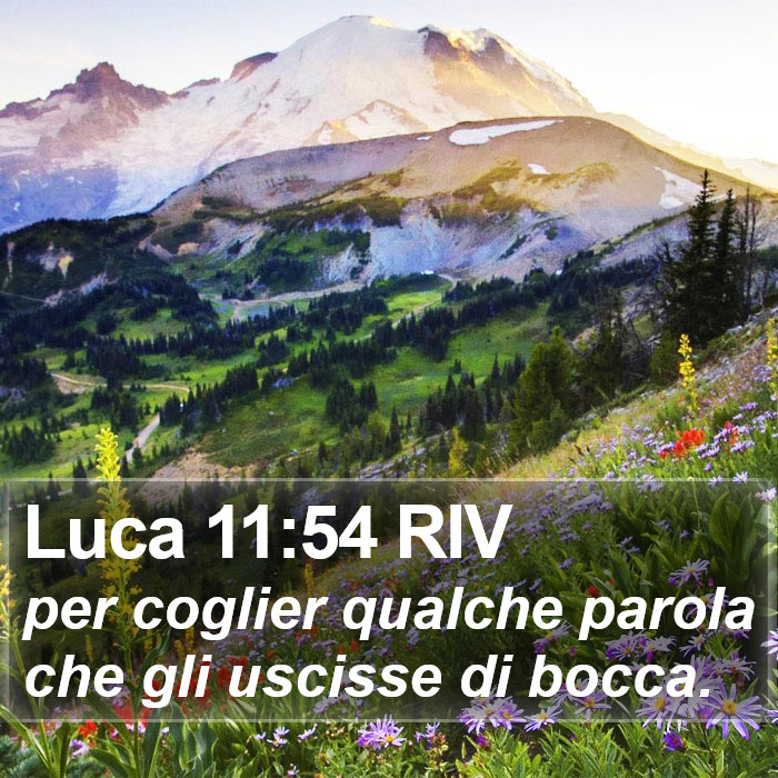Luca 11:54 RIV Bible Study