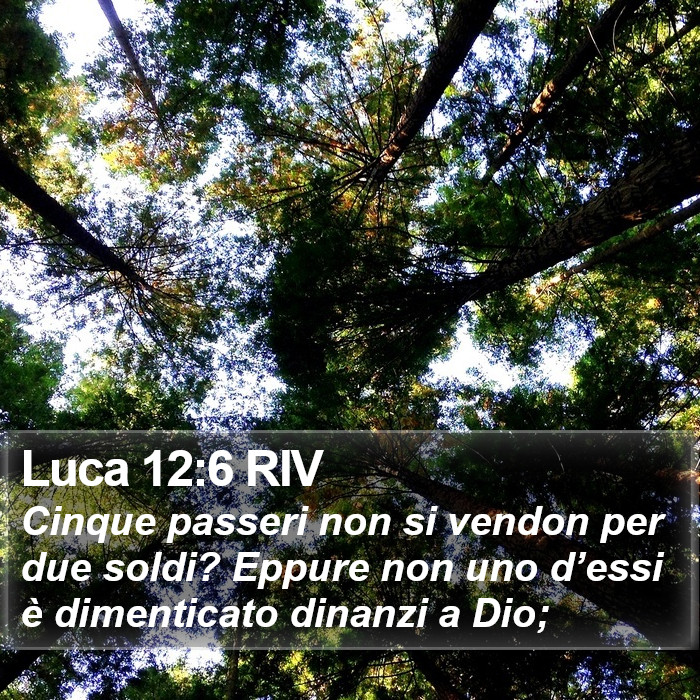 Luca 12:6 RIV Bible Study