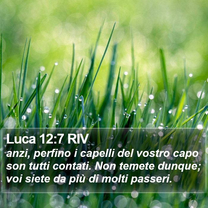 Luca 12:7 RIV Bible Study